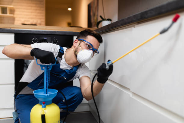 Professional Pest Control in Pierz, MN