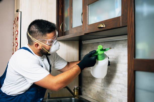 Best Commercial Pest Control Services  in Pierz, MN