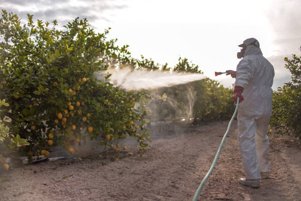 Best Best Pest Control Companies  in Pierz, MN