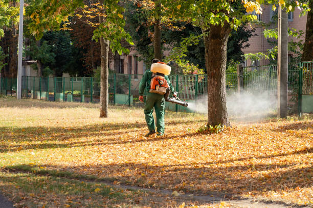 Best Exterminator Services  in Pierz, MN